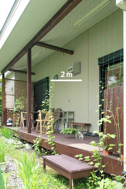 20240606midori02b.jpg