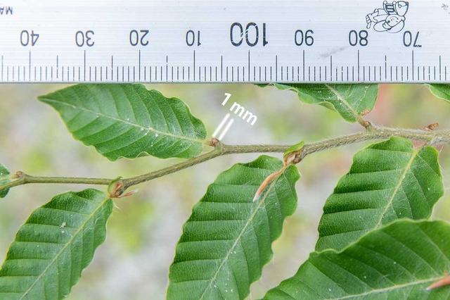 20240609buna11y_su_02.jpg