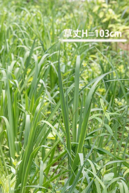 20240616EXQ_nAA01.jpg