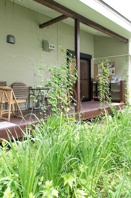 20240617midori01.jpg