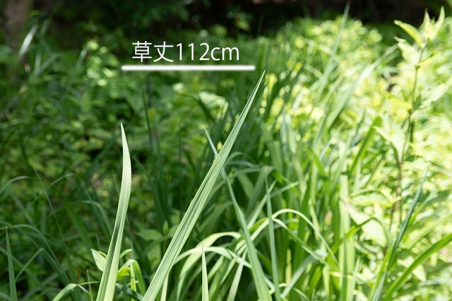 20240622EXQ_nAA01.jpg