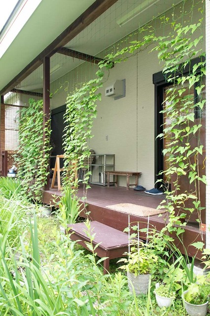 20240630midori02.jpg