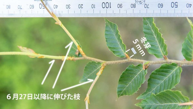 20240705buna11y_su_02.jpg