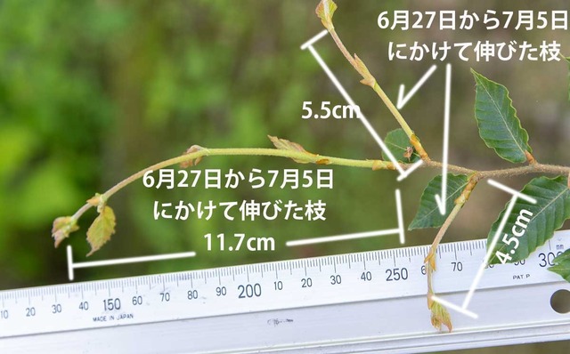20240705buna11y_su_03re.jpg