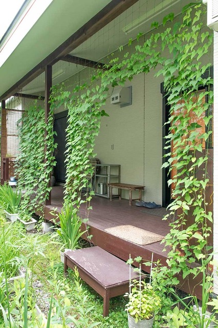 20240708midori02.jpg