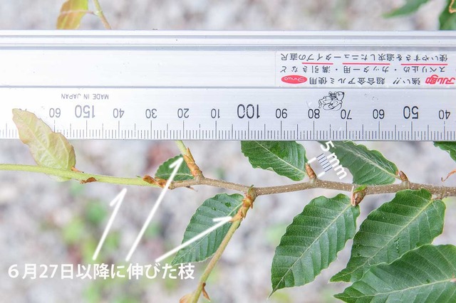 20240710buna11y_su_02.jpg