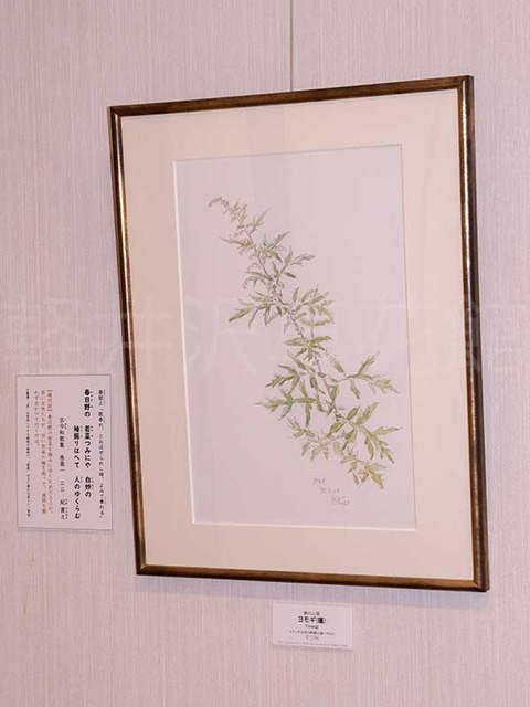 20240717M_19950913.jpg