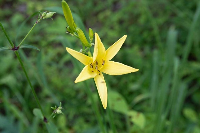 20240721EXQB01-1646.jpg