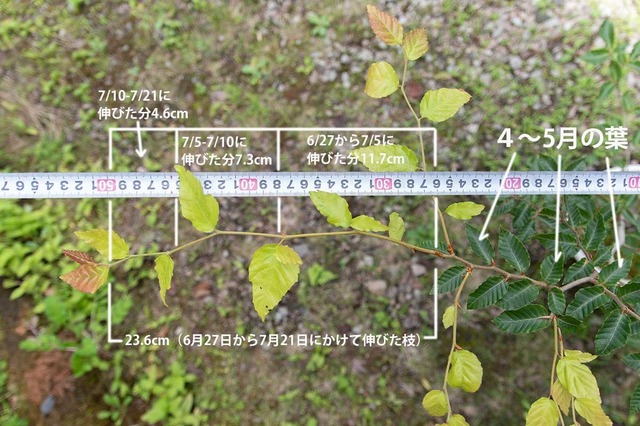 20240721buna11y_su_03.jpg