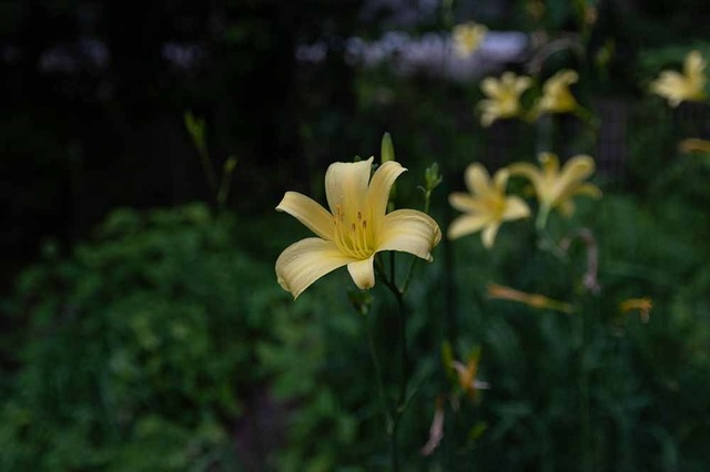 20240723EXQA01-1854.jpg