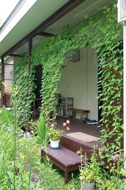 20240724midori02.jpg
