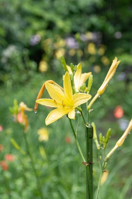 20240726EXQA01-1731.jpg