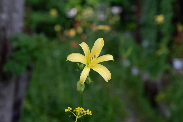 20240727EXA01-1654.jpg