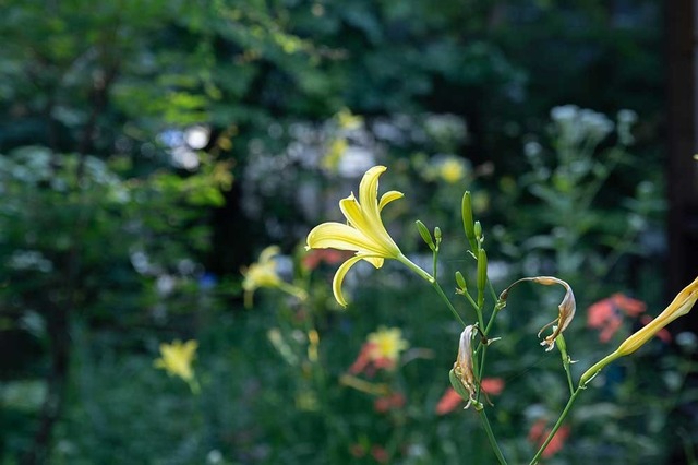 20240802EXQA01-1703.jpg