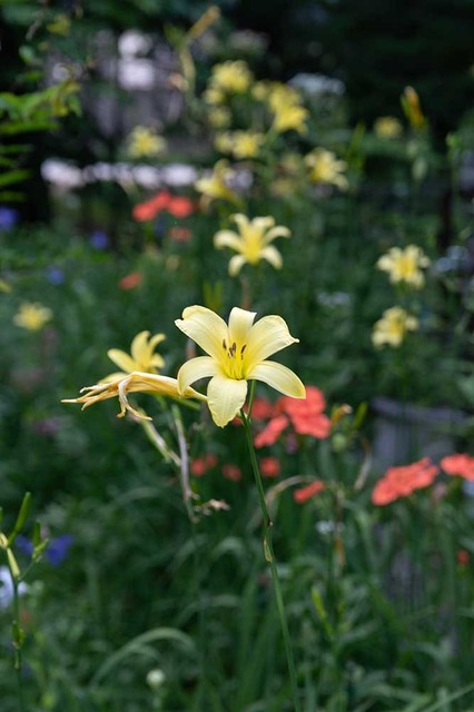 20240803EXQB01-1744.jpg