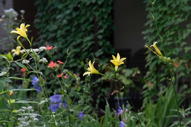 20240810EXQA01-1721.jpg