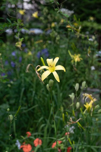 20240817EXQA01-1705.jpg