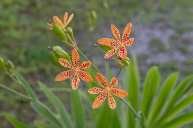 20240817hioug-poti02.jpg