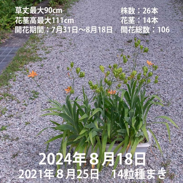 20240818hioug-poti00.jpg