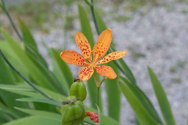 20240818hioug-poti01.jpg