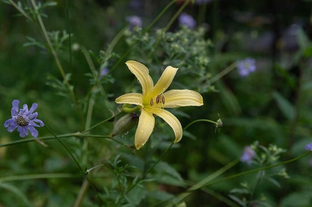20240825EXQA01-1718.jpg
