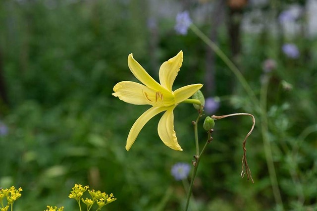20240827EXQA01-1729.jpg