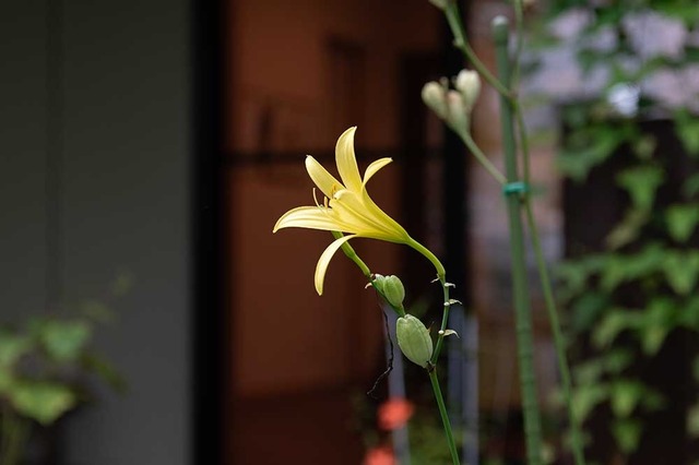 20240828EXQA01-1651.jpg