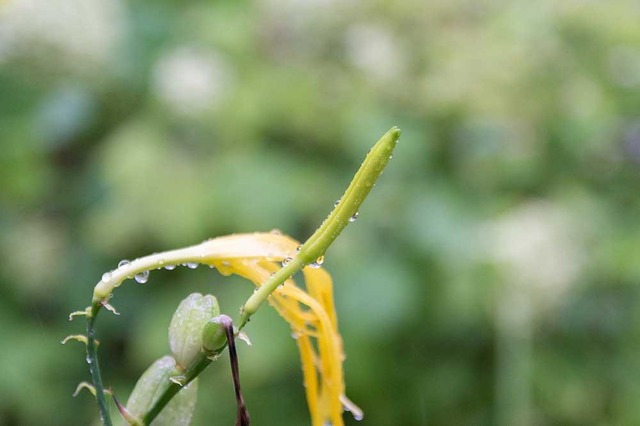 20240829EXQA01-1652.jpg