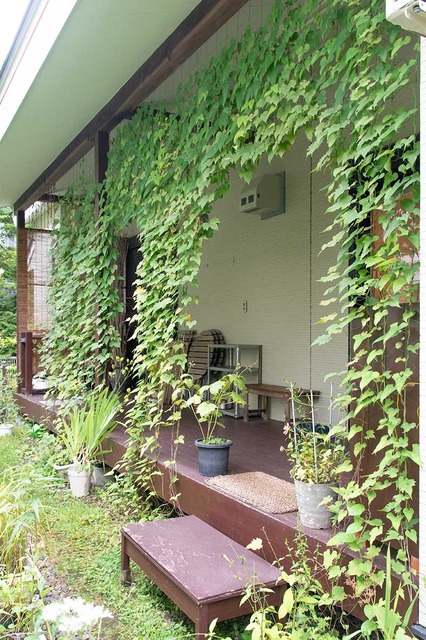20240901midori02.jpg