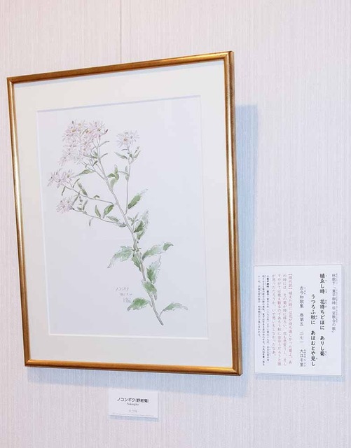 20240910mRMN19920910.jpg