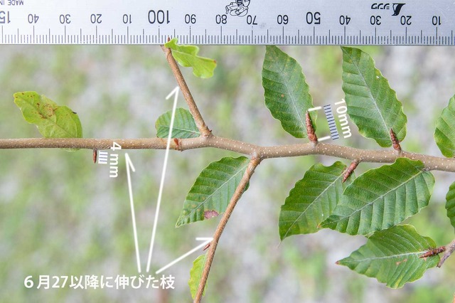 20240916buna11y_su_02.jpg
