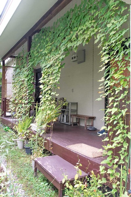 20240921midori02.jpg