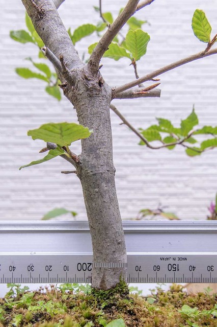 20240930buna11y_su_03.jpg