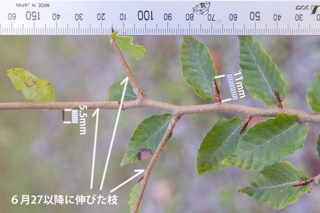 20241013buna11y_su_02.jpg