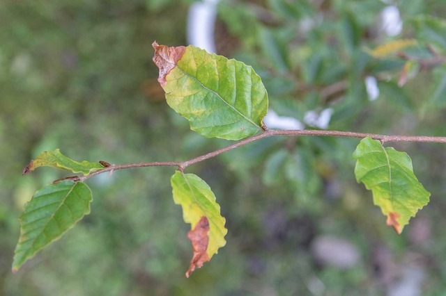 20241013buna11y_su_05.jpg