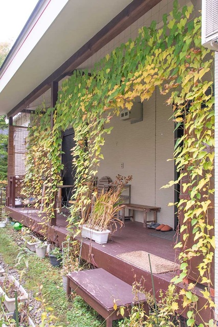20241024midori02.jpg