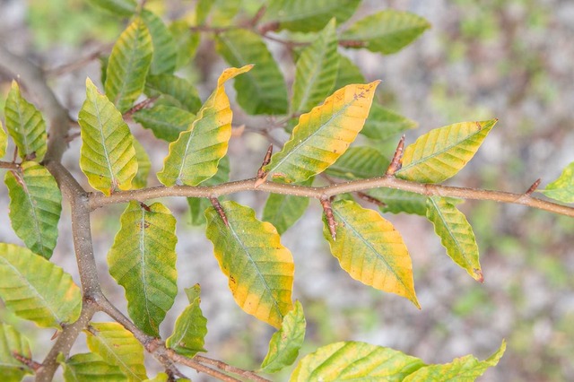 20241026buna11y_su_04.jpg