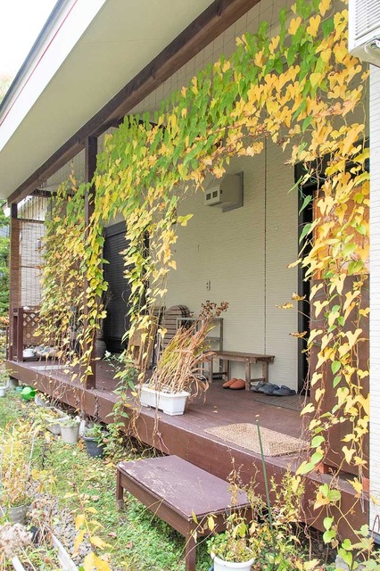 20241029midori02.jpg