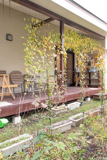 20241101midori01.jpg