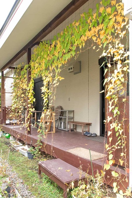 20241101midori02.jpg