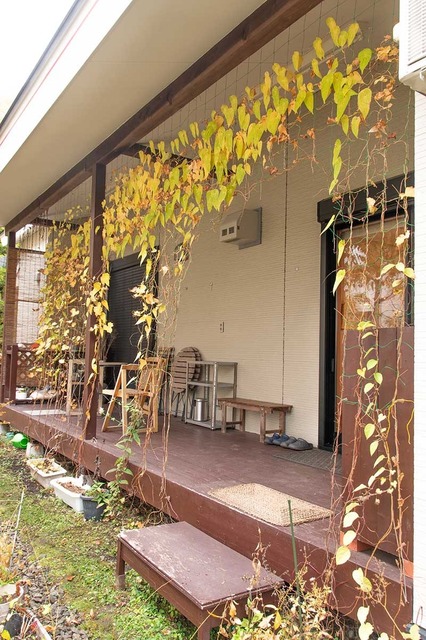 20241106midori02.jpg