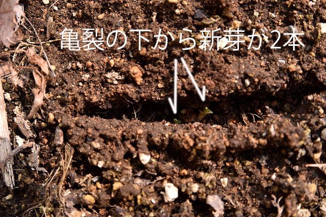 20250326pكEXQv^[HN02.jpg