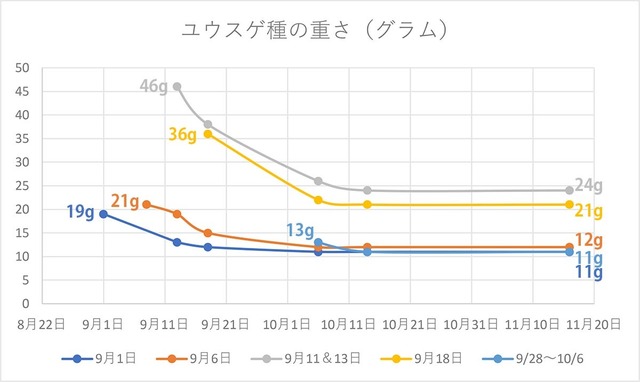 EXQ̏d2023_Ot1116.jpg