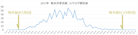 ユウスゲ開花数2017グラフ.png