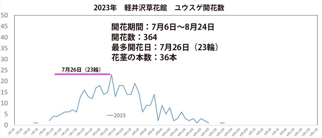 ユウスゲ開花数2023グラフ.jpg