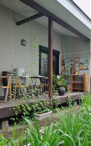 midori0617-01.jpg