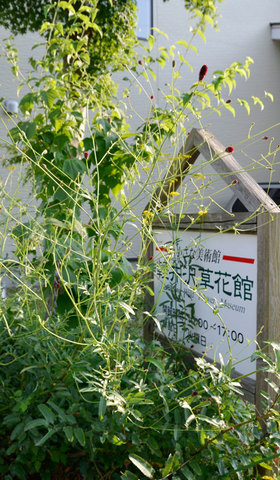 waremokou0831.jpg