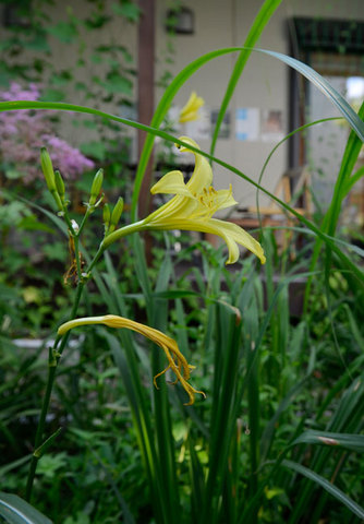 yusuge0807-01.jpg