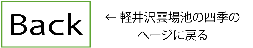 軽井沢雲場池の四季へ戻る