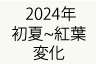 _ruO2024NgtɃN